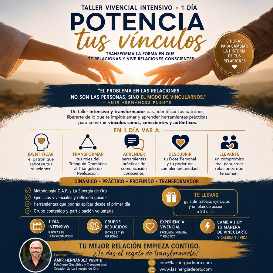 Taller Vivencial PTV